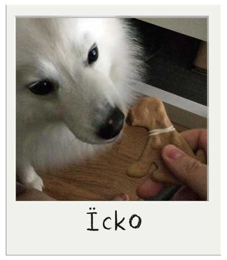 Icko et son Biscuits Anniversaire